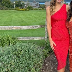 Perfect guest wedding dress